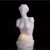 Светильник пластиковый Венера Venus Lighting