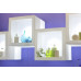 Куб открытый пластиковый светящийся Open Cube 45 Lighting