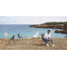 Кресло пластиковое Ibiza Basic