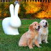 Стул пластиковый детский Rabbit Baby