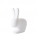 Стул пластиковый детский Rabbit Baby