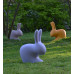 Стул пластиковый детский Rabbit Baby