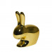 Стул пластиковый детский Rabbit Baby Metal Finish