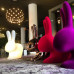 Стул пластиковый детский Rabbit Baby Metal Finish